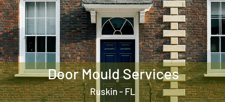  Door Mould Services Ruskin - FL