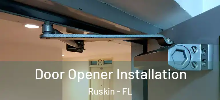  Door Opener Installation Ruskin - FL