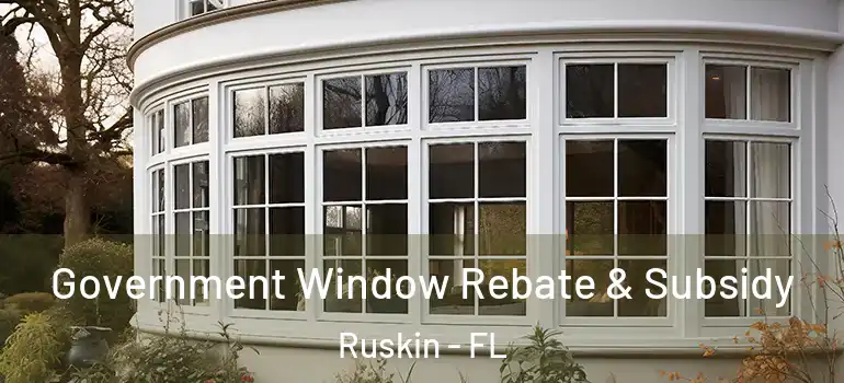  Government Window Rebate & Subsidy Ruskin - FL