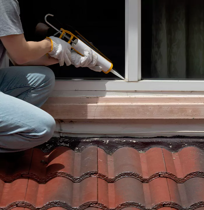 Roof Window Services in Ruskin, Florida