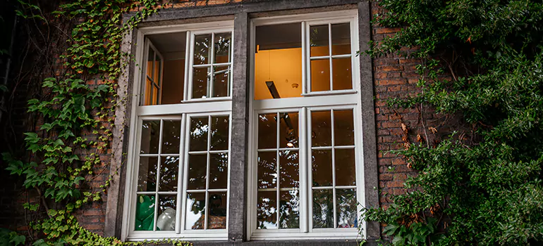 Energy Efficient Wood Windows in Ruskin, FL