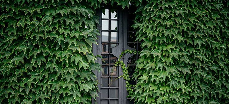 Garden Gate Repair in Ruskin, FL