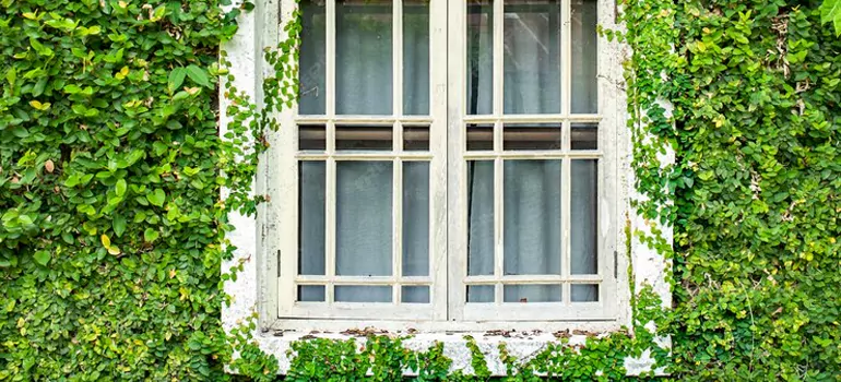 Garden Window Repair Near Me in Ruskin, FL