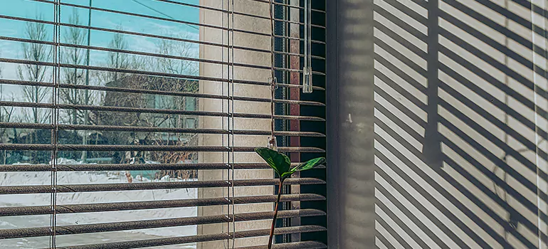 Commercial Window Blinds in Ruskin, FL