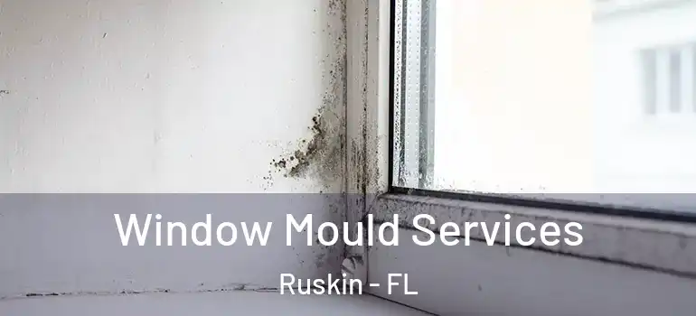  Window Mould Services Ruskin - FL